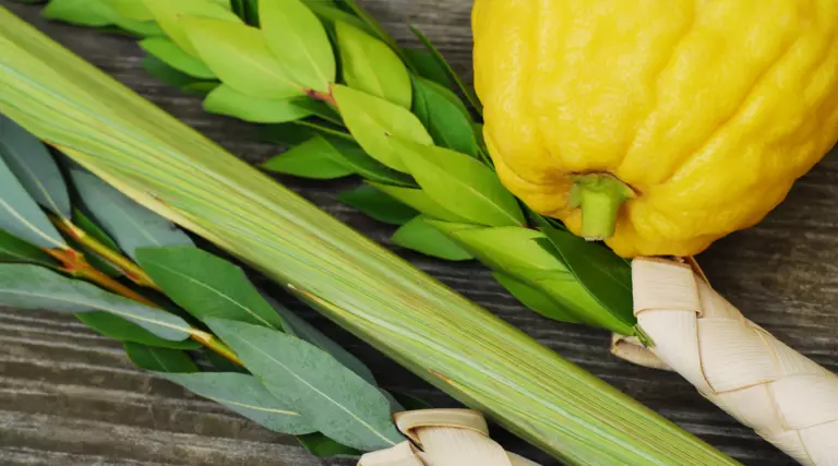 Jewish Holiday Sukkot