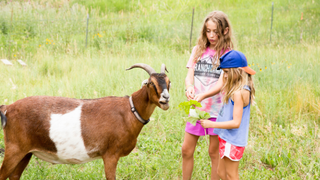 Prepping Ranch Camp_May2026_320x180px